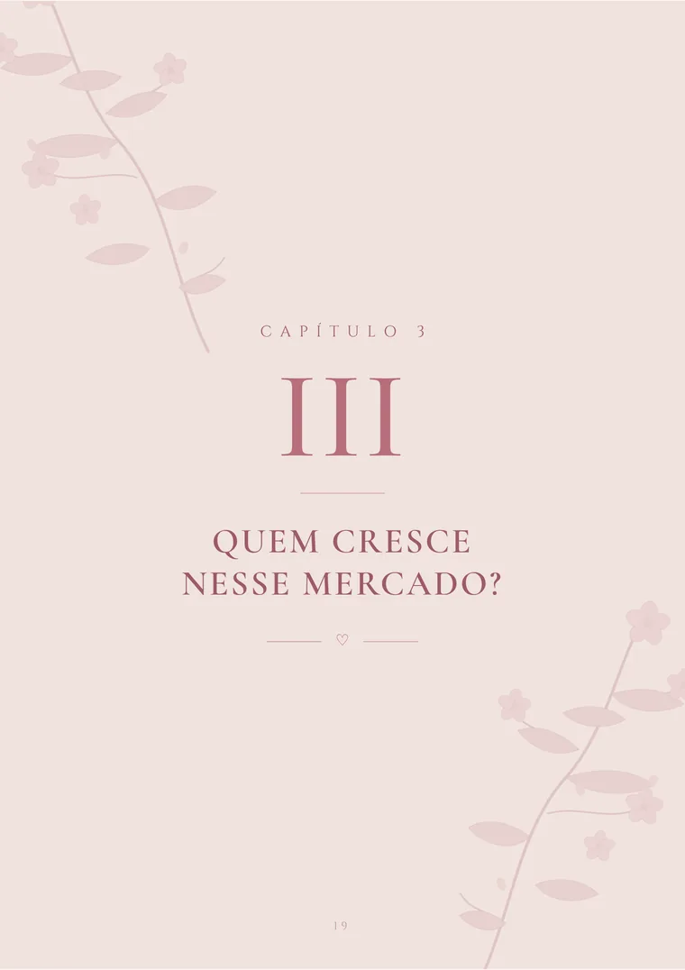 Página de abertura do capítulo três, Quem cresce nesse mercado